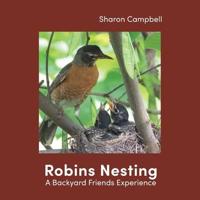 Robins Nesting: A Backyard Friends Experience
