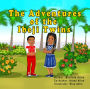 THE ADVENTURES OF THE IBEJI TWINS