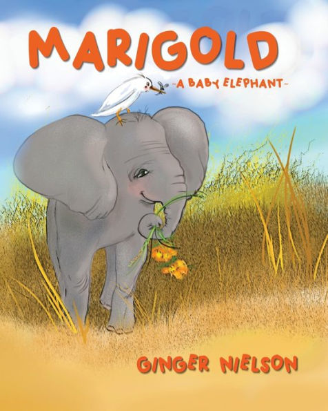 Marigold ~ A Baby Elephant