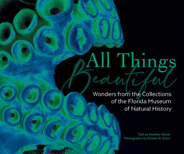 All Things Beautiful: Wonders from the Collections of the Florida Museum of Natural History