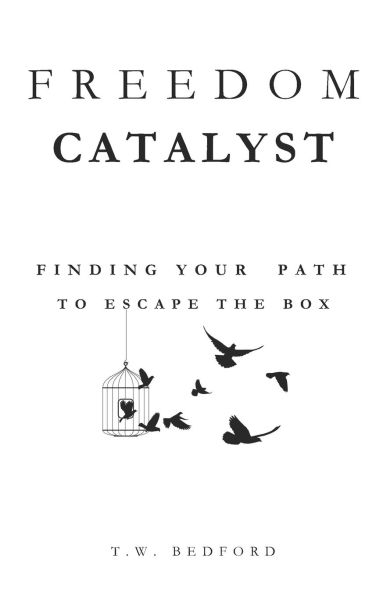 Freedom Catalyst: Finding Your Path to Escape the Box