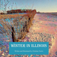 Title: Winter in Illinois: A Snowy Tale of Joy, Traditions, and the Enchanting Land of Lincoln, Author: Christine Norris