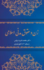 Women and Islamic Civil Rights
