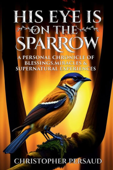 HIS EYE IS ON THE SPARROW: A Personal Chronicle of Blessings, Miracles, & Supernatural Experiences: