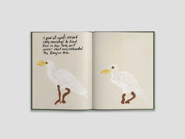 A Seed Takes Root: (Nature Book for Kids)