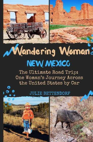 Wandering Woman: New Mexico: The Ultimate Road Trip: One Woman's Journey Across the United States by Car