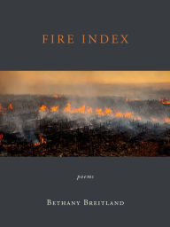 Download pdf format ebooks Fire Index: Poems 9798987070796