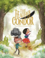 The Feather of the Condor