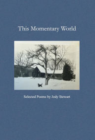 Title: This Momentary World, Author: Jody Stewart