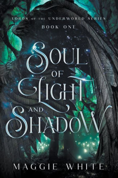 Soul of Light and Shadow