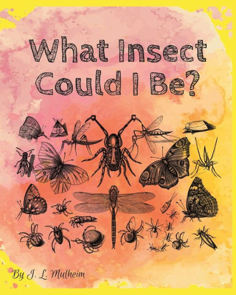 What Insect Could I Be?