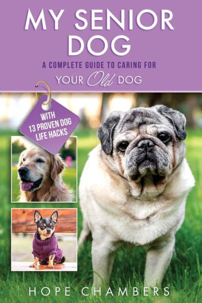 My Senior Dog: A Complete Guide to Caring for Your Old Dog