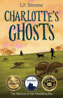 Charlotte's Ghosts: The Mystery of the Vanishing Boy