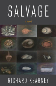 Title: Salvage, Author: Richard Kearney