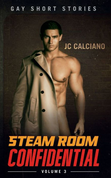 Steam Room Confidential: Volume 3:Gay Short Stories