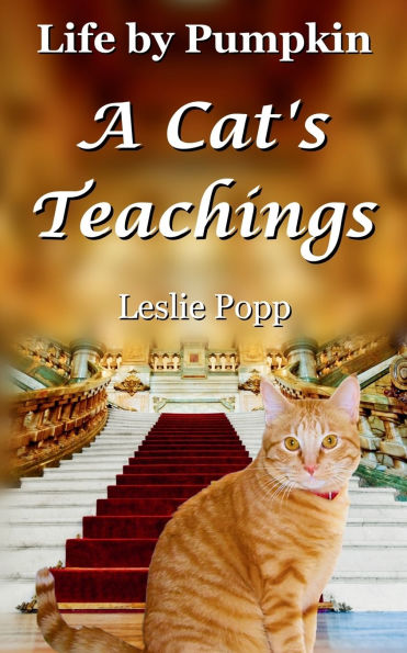 Life by Pumpkin: A Cat's Teachings