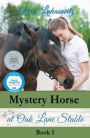 Mystery Horse at Oak Lane Stable