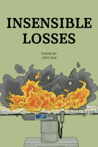 Free books downloading pdf Insensible Losses by Joey Lew in English CHM RTF PDB