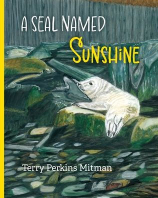 a Seal Named Sunshine: the Story of Sunshine and All Rest Who Made Big Splash One Winter Maine