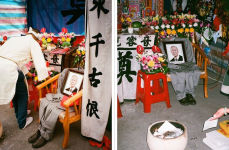 Alternative view 2 of Wen-You Cai: Minnan Exit