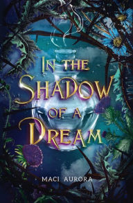 In the Shadow of a Dream: Fareview Fairytale, book 3