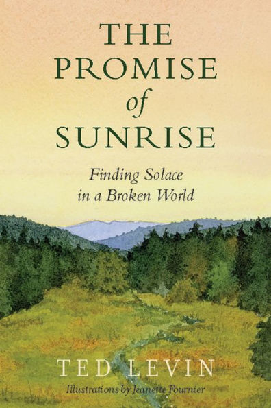 The Promise of Sunrise: Finding Solace in a Broken World