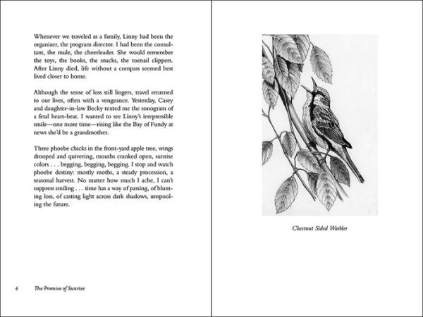 The Promise of Sunrise: Finding Solace in a Broken World
