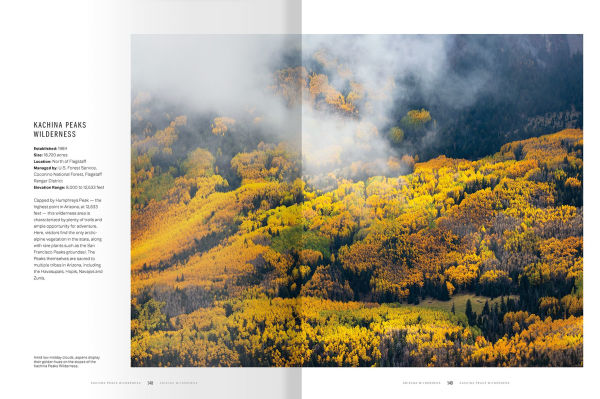 Arizona Wilderness: A Celebration of the State's 90 Most Pristine Places