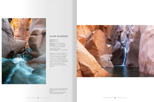 Arizona Wilderness: A Celebration of the State's 90 Most Pristine Places