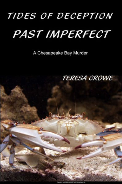 Tides of Deception: Past Imperfect: A Chesapeake Bay Murder