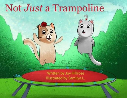 Not Just a Trampoline