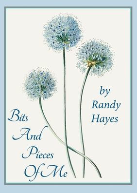 Bits And Pieces Of Me