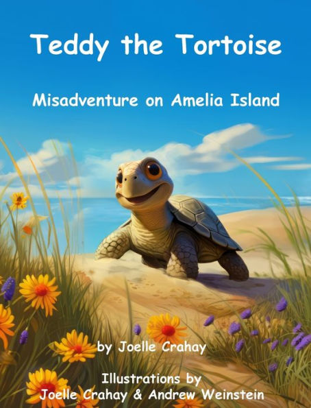 Teddy the Tortoise, Misadventure on Amelia Island