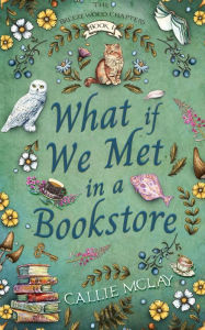 Title: What If We Met In A Bookstore, Author: Callie McLay