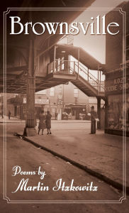 Title: Brownsville, Author: Martin Itzkowitz