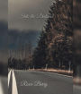 Into The Distance