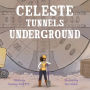 Celeste Tunnels Underground