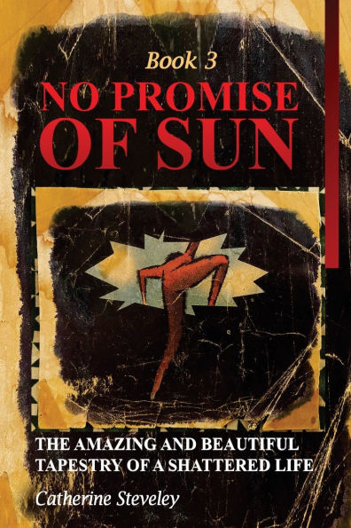 No Promise of Sun, Book 3: The Amazing and Beautiful Tapestry of a Shattered Life