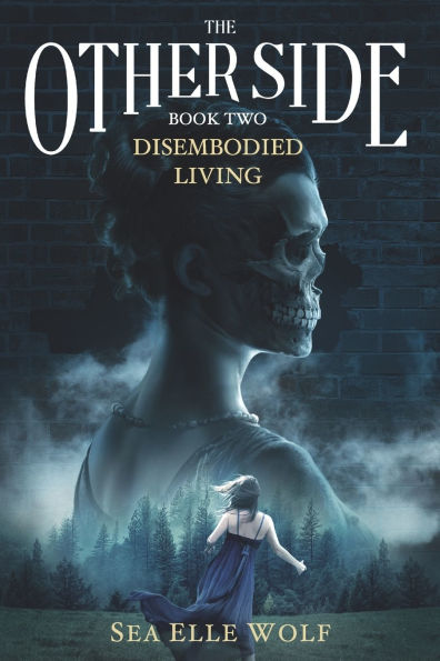 The Other Side Disembodied Living: A Supernatural Thriller