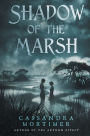 Shadow of the Marsh
