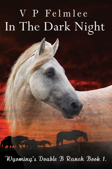 In The Dark Night