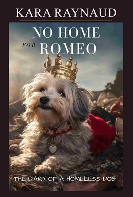 No Home For Romeo... The Diary of a Homeless Dog