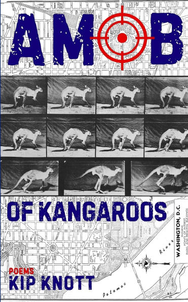 A Mob of Kangaroos