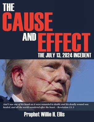 The Cause and Effect: The July 13, 2024 Incident: