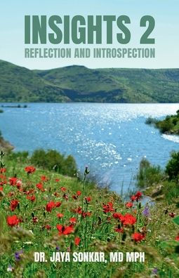 Insights 2: Reflection and Introspection