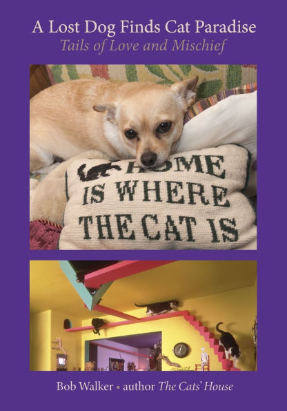 A Lost Dog Finds Cat Paradise: Tails of Love and Mischief