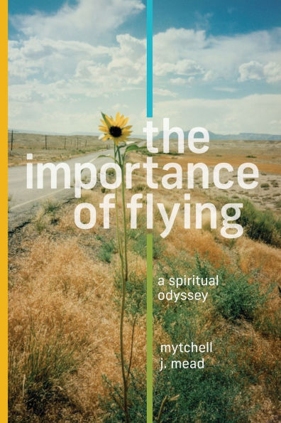 The Importance of Flying: A Spiritual Odyssey