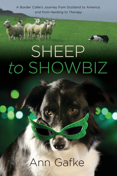 Sheep to Showbiz: A Border Collie's Journey from Scotland America, and Herding Therapy