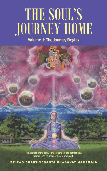 The Soul's Journey Home: Volume 1: The Journey Begins