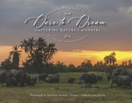 Download free ebook for ipod touch Dare to Dream: Capturing Nature's Wonders 9798992302127 by Mory Machado, Jose Barcita English version